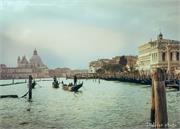 VENICE21 (49)